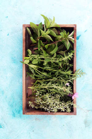 bunch of garden fresh herbs. organic natural herb.の写真素材