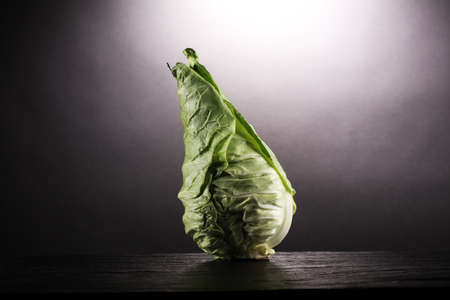 fresh green pointed cabbages. delicious vegetable.の写真素材