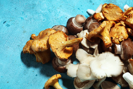 variety of raw mushrooms on table with oyster mushrooms and champignons