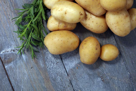 Pile of potatoes lying on table. Fresh potato and rosemary.の写真素材