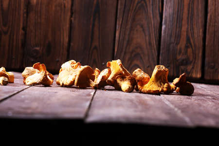 Mushrooms chanterelle on table. Raw wild mushrooms chanterelles. Composition with wild mushroom.の写真素材