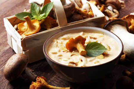 mushroom soup and variety of raw mushrooms on wooden table. oyster and other fresh mushroomsの写真素材
