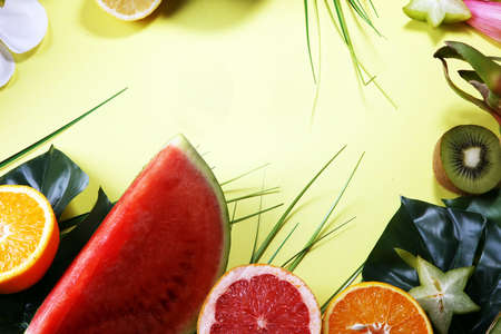 Tropical fruit. Assortment of tropical fruits with leaves of palm trees and exotic plantsの写真素材