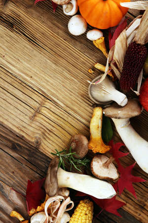 Autumn nature concept. Fall fruit and vegetables on wood. Thanksgiving dinner. Corn and pumpkin with sunflowers and plumsの写真素材