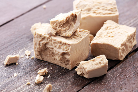 Dry yeast crumbled and yeast block for baking.の写真素材