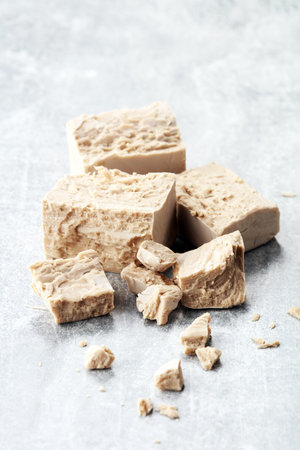 Dry yeast crumbled and yeast block for baking.の写真素材