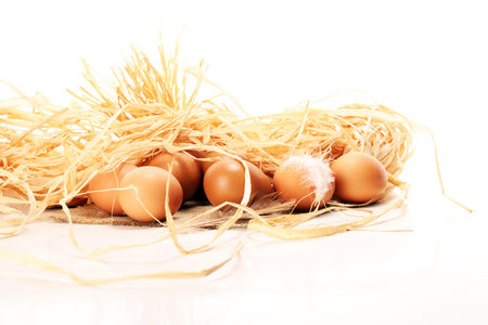 Egg. Fresh farm eggs. Easter egg with feather concept