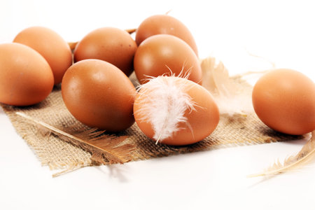 Egg. Fresh farm eggs. Easter egg with feather concept