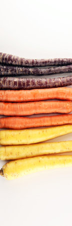 pile of carrots. Crate of mixed fresh harvested colorful carrot on tableの写真素材