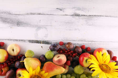 Autumn nature concept. Fall fruit with sunflower and grapes on wood. Thanksgiving dinner. Composition with plums and applesの写真素材