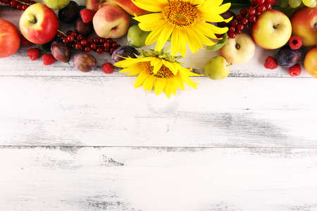 Autumn nature concept. Fall fruit with sunflower and grapes on wood. Thanksgiving dinner. Composition with plums and applesの写真素材