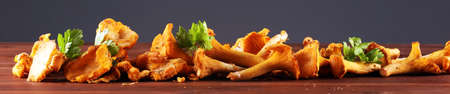 Raw wild chanterelle mushrooms. Composition with wild mushrooms.の写真素材