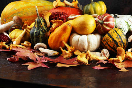 Diverse assortment of pumpkins on a rustic background. Autumn harvest.の写真素材