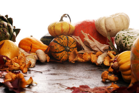 Diverse assortment of pumpkins on a rustic background. Autumn harvest.