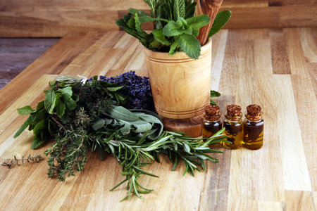 Fresh herbs from the garden and the different types of oils for massage and aromatherapy on table. Set of culinary herbs. Green growing sage, oregano, thyme, basil, mint and oregano. の写真素材