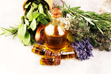 Fresh herbs from the garden and the different types of oils for massage and aromatherapy on table. Set of culinary herbs. Green growing sage, oregano, thyme, basil, mint and oregano.の写真素材