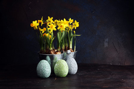 blooming daffodils and easter eggs for spring decoration on rustic background