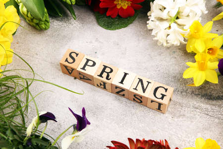 Spring flat lay wooden letter. Set Of Tools For Gardener And Flowerpots with beautiful spring flowersの写真素材