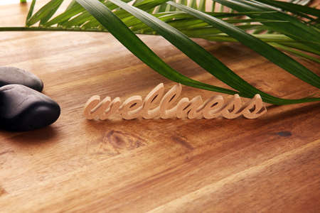 Wellness sign with wooden letters with leaves and stones. Relax therapy spa wellness conceptの写真素材
