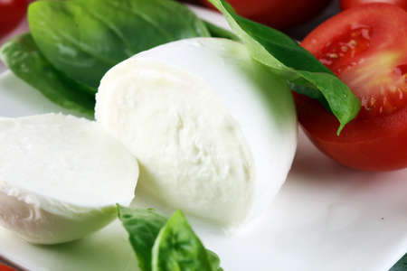 Mozzarella. Traditional italian food - white ball mozzarella buffalo Italian soft cheese with tomato, basil, olive oilの写真素材