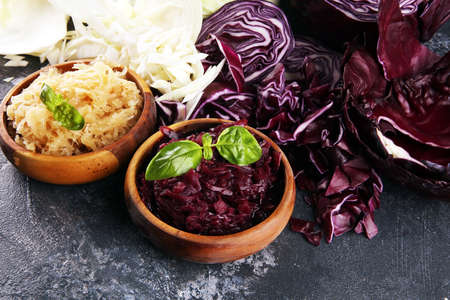pickled red and fermented white cabbage and Chopped fresh cabbage. Prepare sliced vegetable for cooking cabbage salad or coleslaw. Homemade fresh food concept.の写真素材