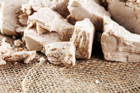 Dry yeast crumbled and yeast cube block for baking.の写真素材
