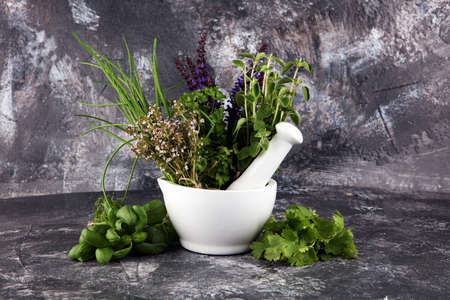 Various Fresh herbs lay on a rustic background with mortar and pestle. Basil, sage, thyme, oregano, dill, chives, parsley and coriander.の写真素材
