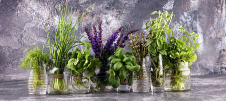 Various Fresh herbs in glasses on a rustic background. Basil, sage, thyme, oregano, dill, chives, parsley and coriander.の写真素材