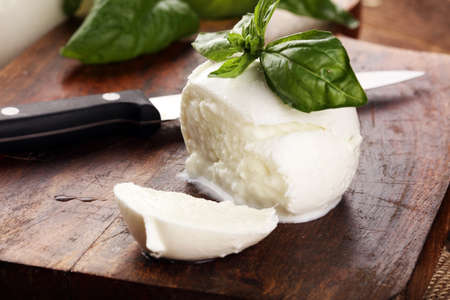 Mozzarella. Traditional italian food - white ball mozzarella buffalo Italian soft cheese with basilの写真素材
