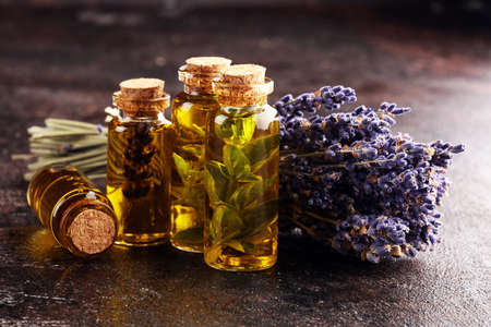 Fresh herbs from the garden and the different types of oils for massage and aromatherapy on table with lavender. Set of culinary herbs.の写真素材