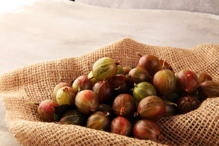 Gooseberries fruits on wooden background. Red and green ripe gooseberries on tableの写真素材