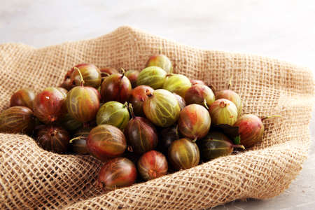 Gooseberries fruits on wooden background. Red and green ripe gooseberries on tableの写真素材