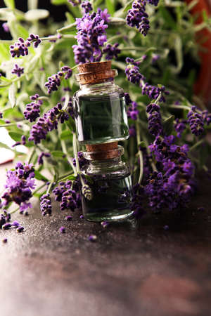 Glass bottle of Lavender essential oil with fresh lavender flowers for healthy aromatherapy spa massage concept.の写真素材