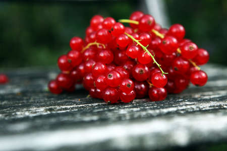 Fresh red currants on table. Healthy summer fruits.の写真素材