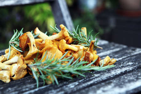 Raw wild chanterelle mushrooms. Composition with wild mushrooms.の写真素材