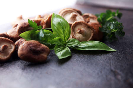 Raw wild shiitake mushroom. Composition with wild mushrooms on tableの写真素材