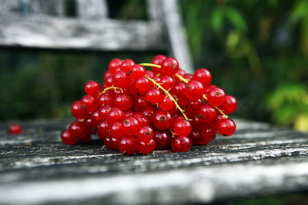 Fresh red currants on table. Healthy summer fruits.の写真素材