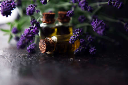lavender oil in a glass bottle on a background of fresh flowers on tableの写真素材