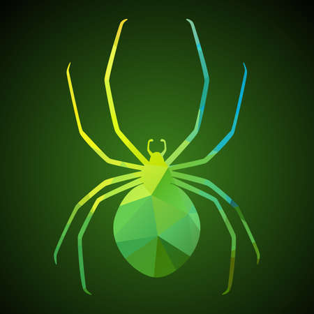 Spider of triangles. Vector illustration flat icon for your halloween party design.のイラスト素材
