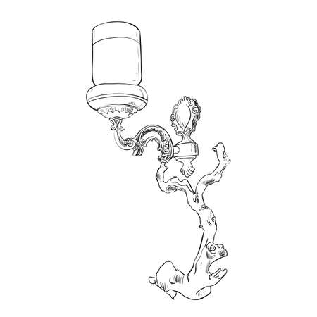 Vector sketch of sconce. Hand draw illustration.のイラスト素材
