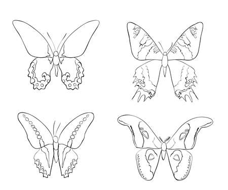 Set of sketches doodle butterflies. Vector illustrationのイラスト素材