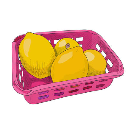 Vector color sketch of plastic container with lemons. Food box with lemons. Hand draw illustration.のイラスト素材