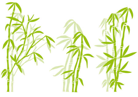 Bamboo tree silhouettes, vectorのイラスト素材
