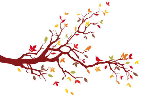 Autumn tree with colorful leaves, vectorのイラスト素材
