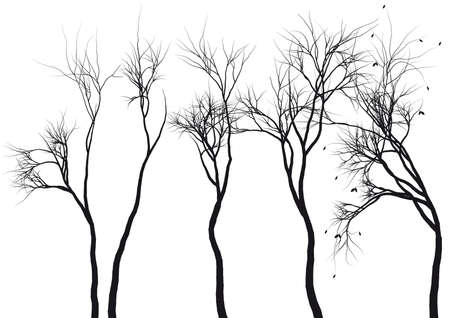 set of detailed tree silhouettes, vectorのイラスト素材