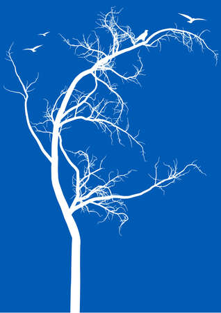 detailed tree silhouette with birdsのイラスト素材