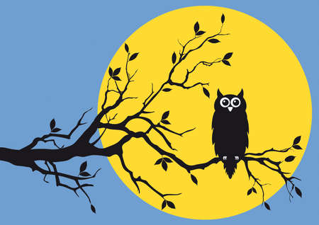 night owl on tree branchのイラスト素材
