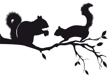 squirrels on tree branch, vector backgroundのイラスト素材