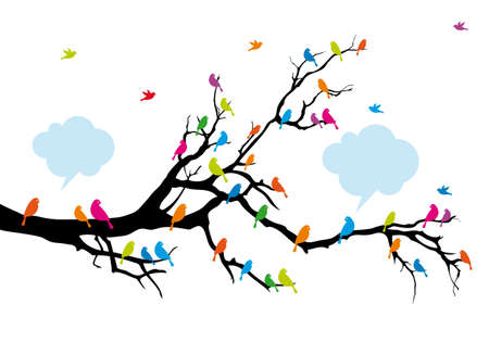 Colorful birds on tree branch,background illustrationのイラスト素材