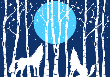 Howling wolf with blue moon and white birch trees, vector illustration